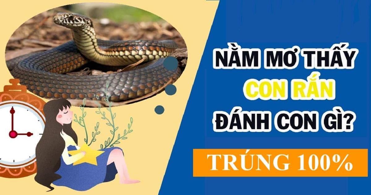 May88 VIP giải mã mơ thấy rắn điềm gì và đánh con gì?