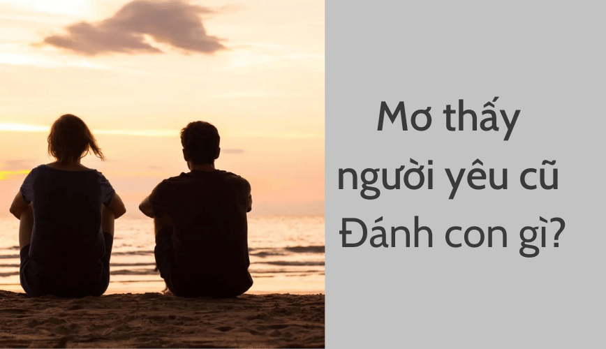 Mơ thấy người yêu cũ đánh con gì tại May88