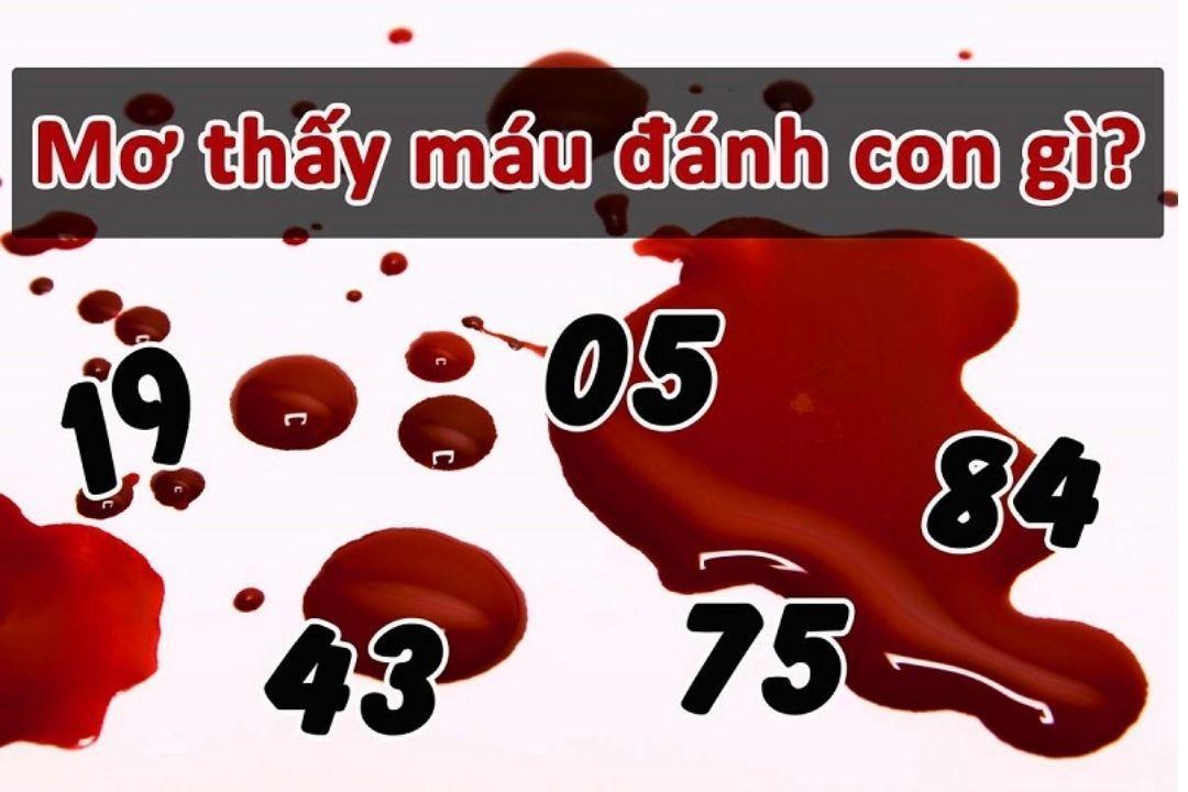 Mơ thấy máu là điềm gì - May88 VIP giải mã